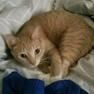 Meet your Posher, Dana